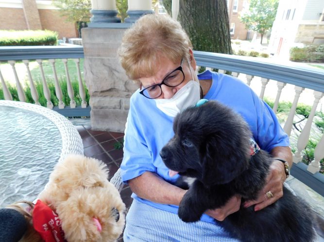 The House  Of Friendship  Celebrates  National  Puppy Day